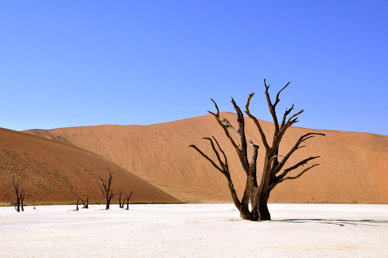 Deadvlei white clay pan